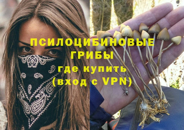 соль ск Лиски