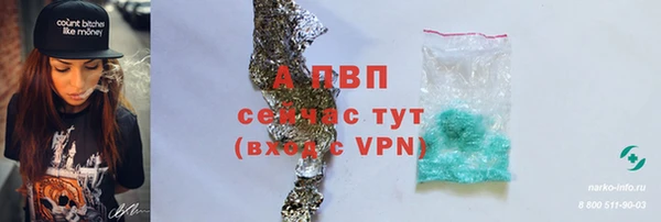 прущие грибы Лихославль