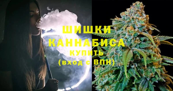 прущие грибы Лихославль