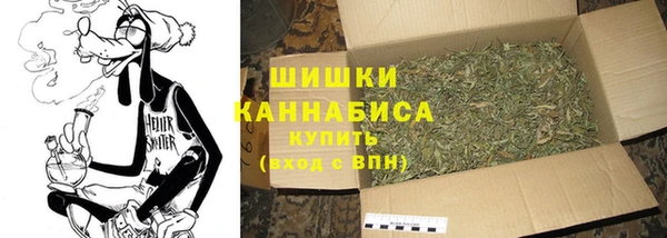 прущие грибы Лихославль
