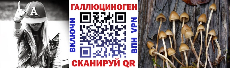 Псилоцибиновые грибы мухоморы Химки